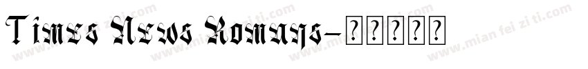 Times News Romans字体转换